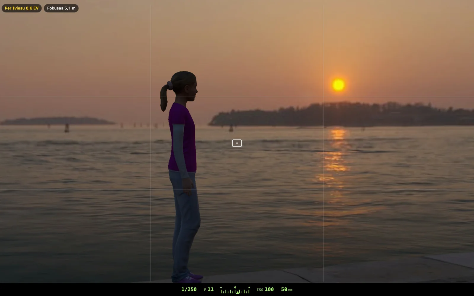 Photo Academy: a 3D camera viewfinder, a girl by the sea at sunset